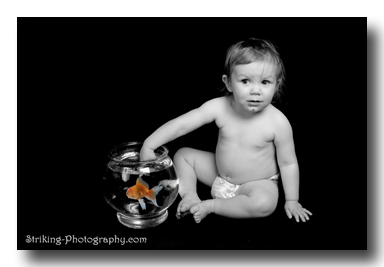 Longmont Newborn Photographer