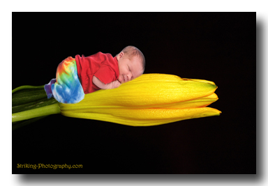 infant photo