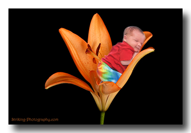 baby photo