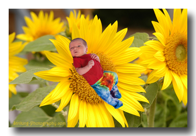 portrait photography