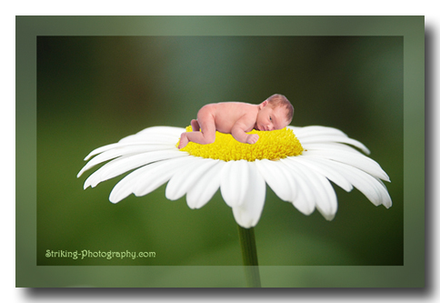 hildren photo